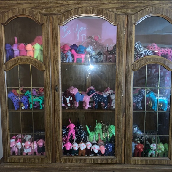 Meet your Posher, Savannah - Picture 3 of 8